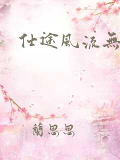 仕途风流无弹窗