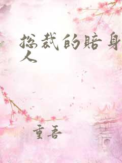 总裁的赔身小情人