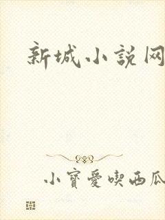 新城小说网