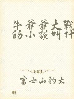 牛爷爷大战小丽的小说叫什么