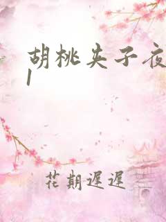 胡桃夹子夜未眠1