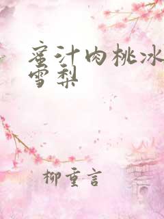 蜜汁肉桃冰糖炖雪梨