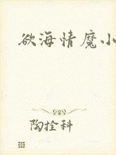 欲海情魔小说