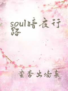 soul暗夜行路