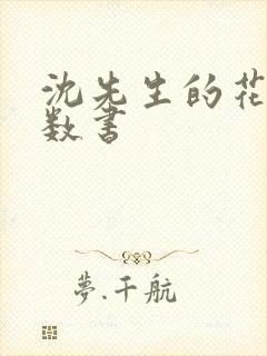 沈先生的花式调数书