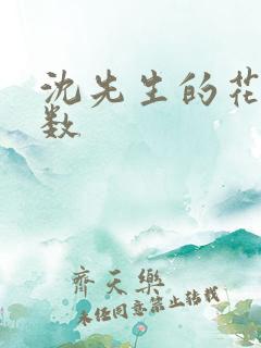 沈先生的花式调数