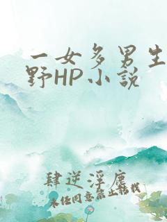 一女多男生活狂野HP小说