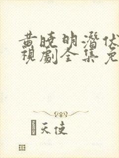 黄晓明潜伏者电视剧全集免费观看