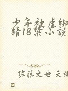 少年被虐绑着榨精18禁小说