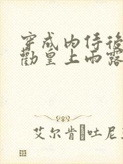 穿成内侍后总在劝皇上雨露均沾