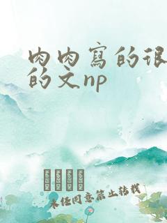 肉肉写的很细致的文np