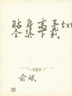 贴身高手txt全集下载