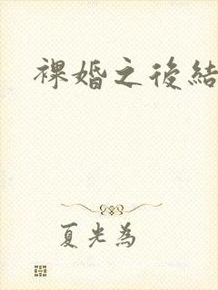 裸婚之后结局