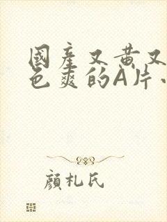 国产又黄又大又色爽的A片小说