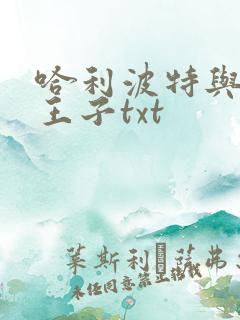 哈利波特与混血王子txt