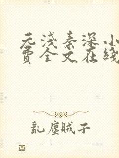 元浅秦深小说免费全文在线