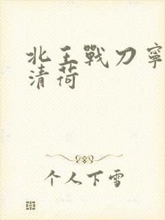 北王战刀宁北苏清荷