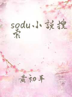 sodu小说搜索