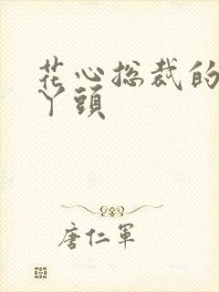 花心总裁的小小丫头