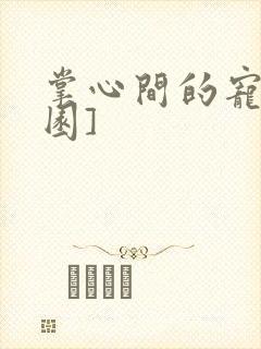 掌心间的宠[校园]