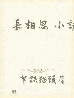 长相思 小说