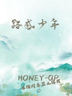 路感少年