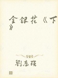 金银花《下厨房》