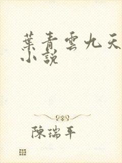 叶青云九天玄宗小说
