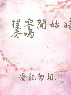 从零开始 暗夜奏鸣