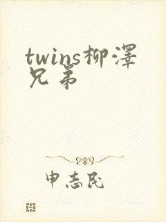 twins柳泽兄弟