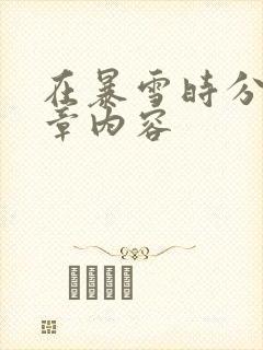 在暴雪时分54章内容