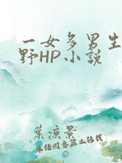 一女多男生活狂野HP小说