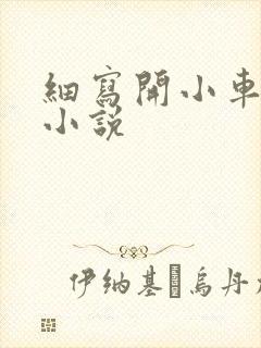 细写开小车车的小说