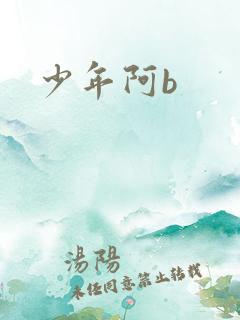 少年阿b