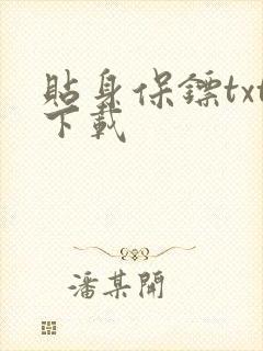 贴身保镖txt下载