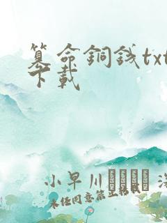 篡命铜钱txt下载