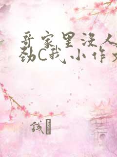 哥家里没人使点劲C我小作文视频