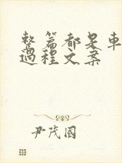 整篇都是车的肉过程文案