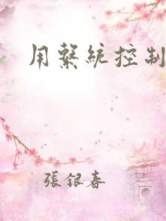 用系统控制女神