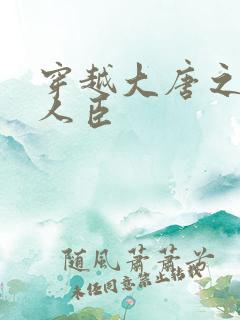 穿越大唐之位极人臣