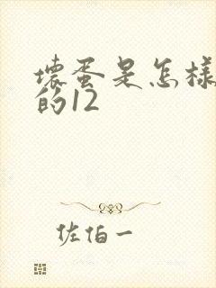 坏蛋是怎样炼成的12