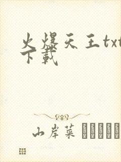 火爆天王txt下载