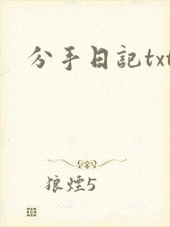 分手日记txt