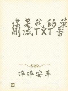 你是我的荣耀未删减TXT番外