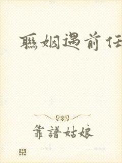 联姻遇前任小说