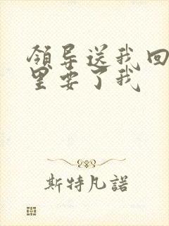 领导送我回家车里要了我