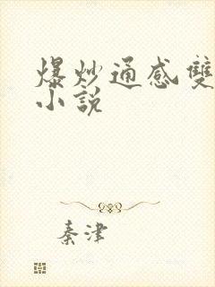 爆炒通感双胞胎小说