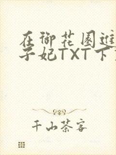 在御花园进入太子妃TXT下载