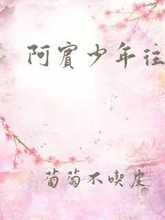 阿宾少年往事