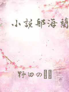 小说那海兰珠